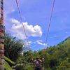 lalinq_21
