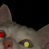 dimmy_029