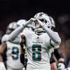 dolphlns