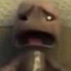 lilcooch