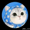 meowi_88