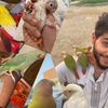 مـُ حَ ـمَّد بن صلاح🦜