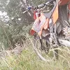 melle_40