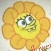 isabellamm33