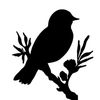 m.bird1