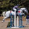irish_eventing038