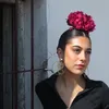 paaulaiibanez