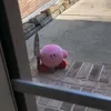sbnfth