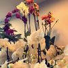 fatoma_k