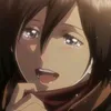 mikasa.fanboyy