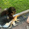 delossantitos