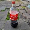 pappa_iv