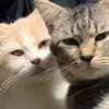 jeuwllie_