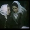 immigrantbuilderdawid