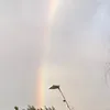 naturabcde