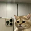 anniekiet