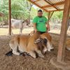 fabricio_ayala91