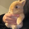 pikapikaboo___