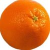 kaleredmon