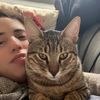 brauny_kitty