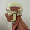 pyawm_lagal_mardishm