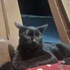 camysmatos