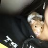 mishelr18