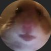 dumb_elesea