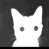 definitelynotkerfluffle