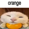 _mkzgs