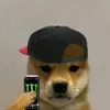 jujubita_b