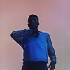 nico_ldv