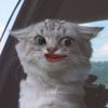 swtunx