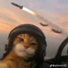 katnthat