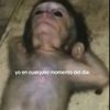 guille_2038190