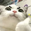 charmainexxiv