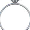 bishop0091