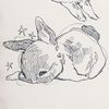 sn ྀི