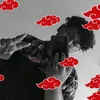theo.florzinha