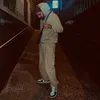 ic3amir5
