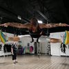 Dragonfly Bungee