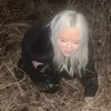 mollykarusseit