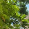 itsmedk24