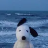 anyta.anyta