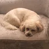 borkie._.studios
