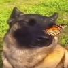 tiktokuser173828493921
