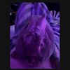 sarahwood5