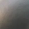 brunoxioustony