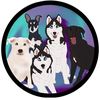wanderingpawsofficial