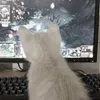 hhhhhhwntijjjj